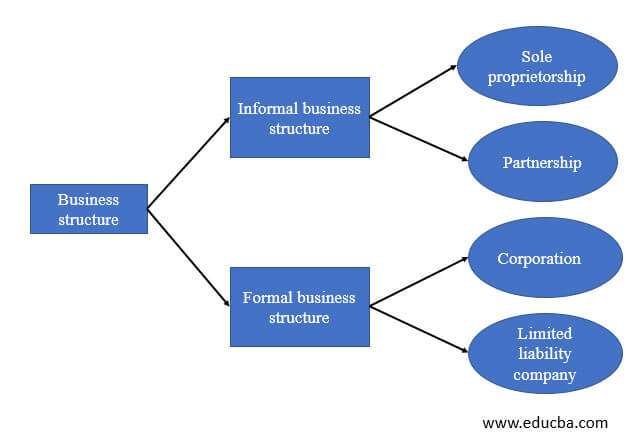 découvrez les différentes structures d'entreprise pour choisir celle qui correspond le mieux à votre projet et optimiser la gestion de votre activité.